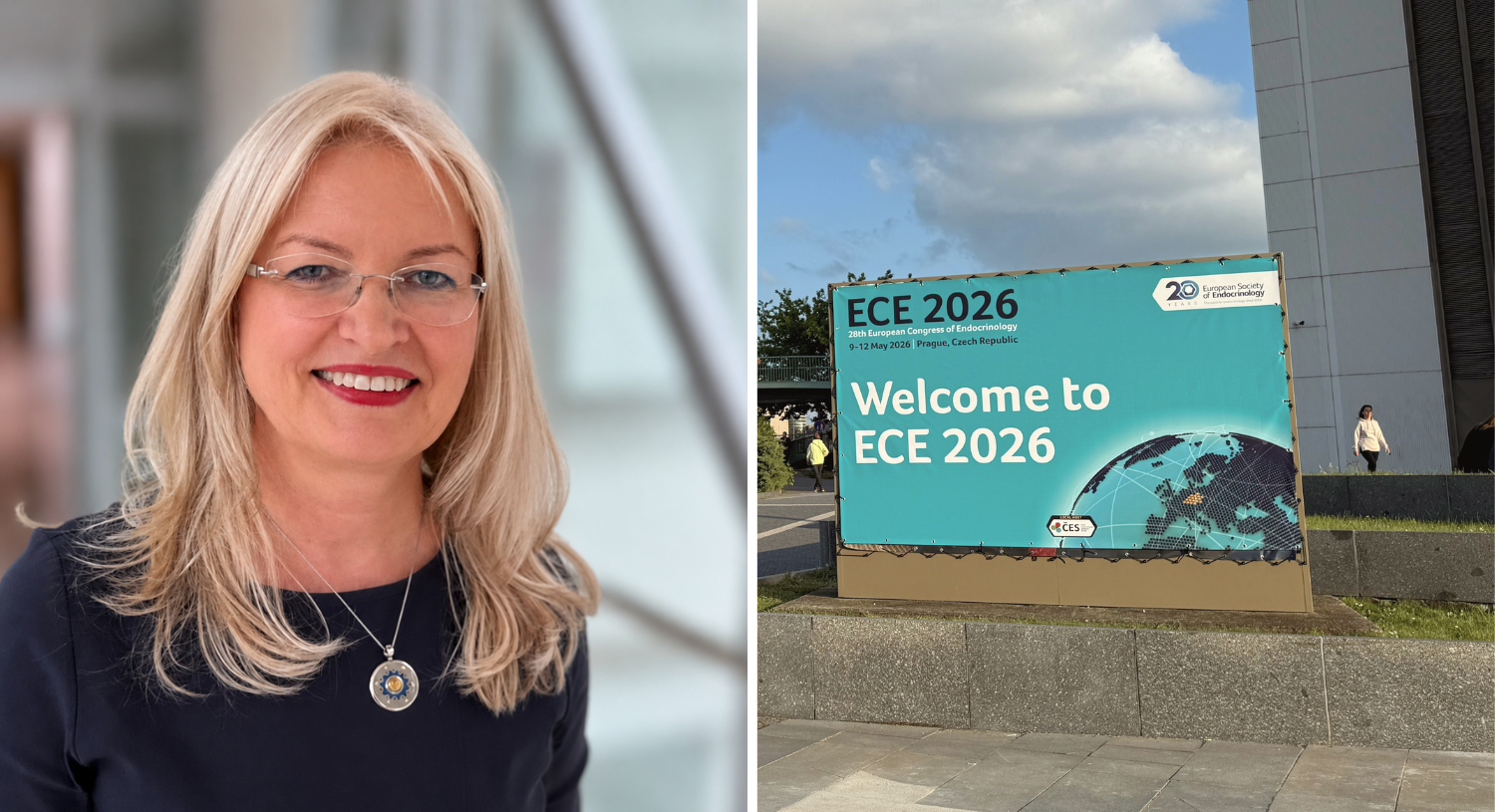 Lina Zabulienė ECE2026